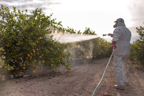 Wildlife Control Services in Como, WI